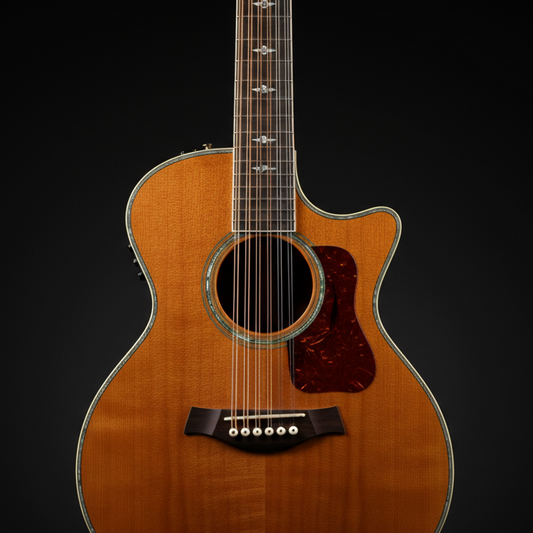 Photo of a 12 string acoustic guitar, dark back ground. head on photo