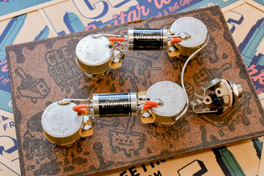 Les Paul Wiring Harness- VitaminQ SILVER FOIL