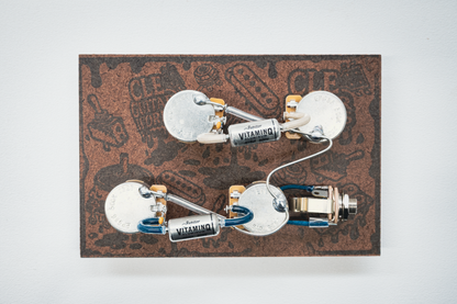 Les Paul Wiring Harness- VitaminQ